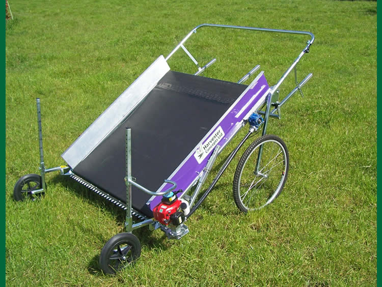 HT KumaP High Speed Model